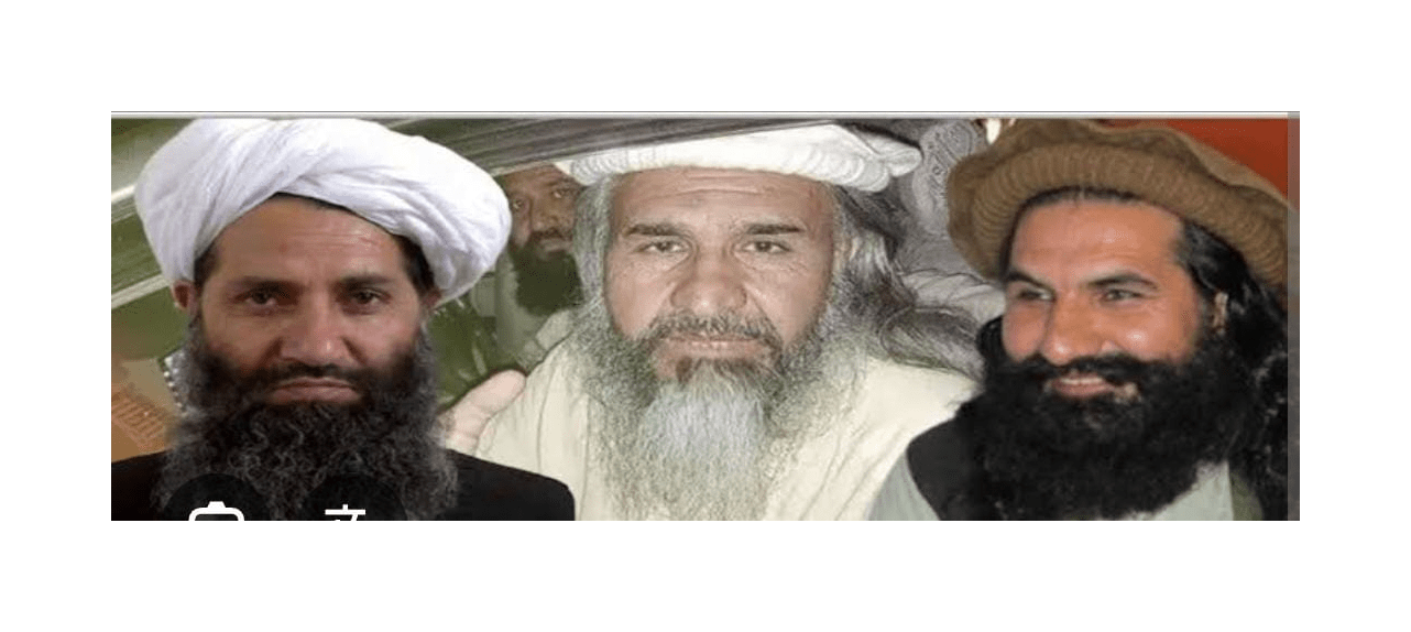 فغانستان کښې موجود ترهه ګرو په حواله افغان حکومت پاليسي کښې بدلون