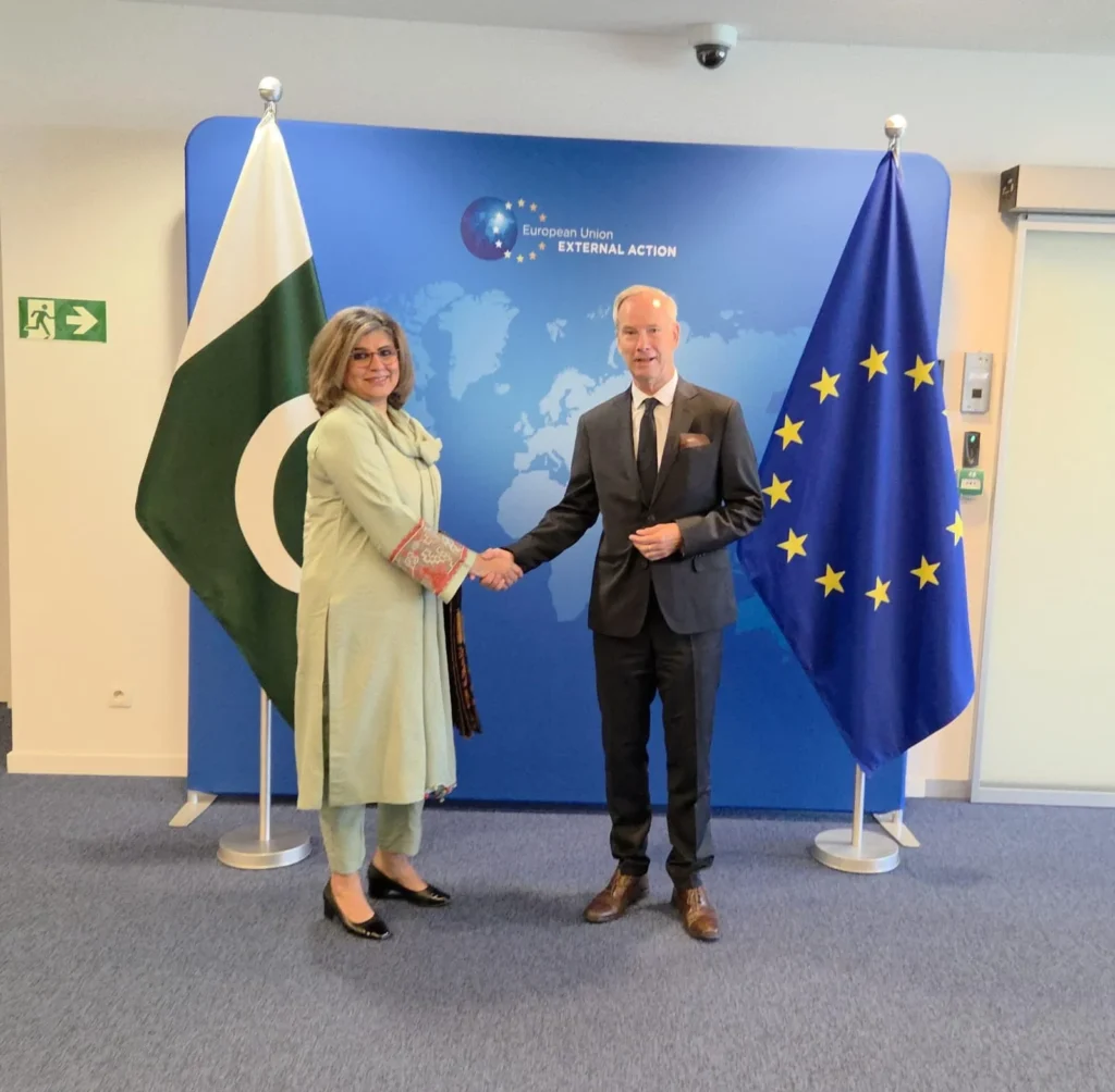 يورپي يونين د منطقي امن لپاره د پاکستان کردار ستائينه کړې