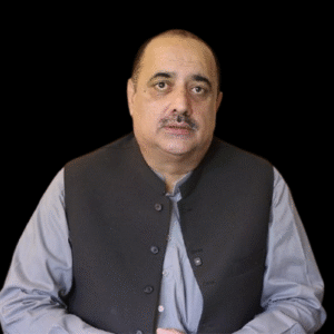 Picture of پیر ولایت شاہ