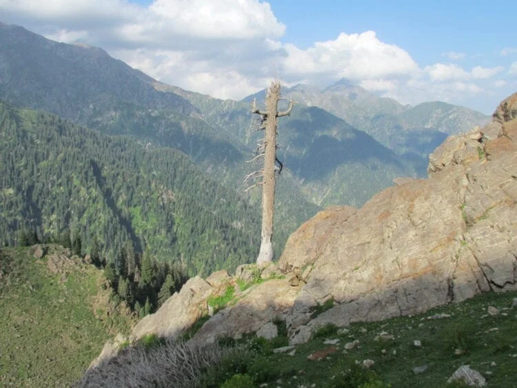 په ضلع کرم کې دې برید کې ټپي اهلکار روغتون ته رسول شوي دي