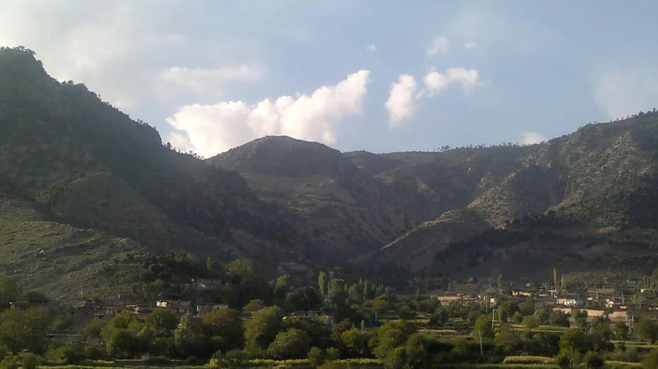 سرچینې وایی چې د افغانستان سرحدي ځواک بدري ۳۱۳ دا برید ترسره کړې دې
