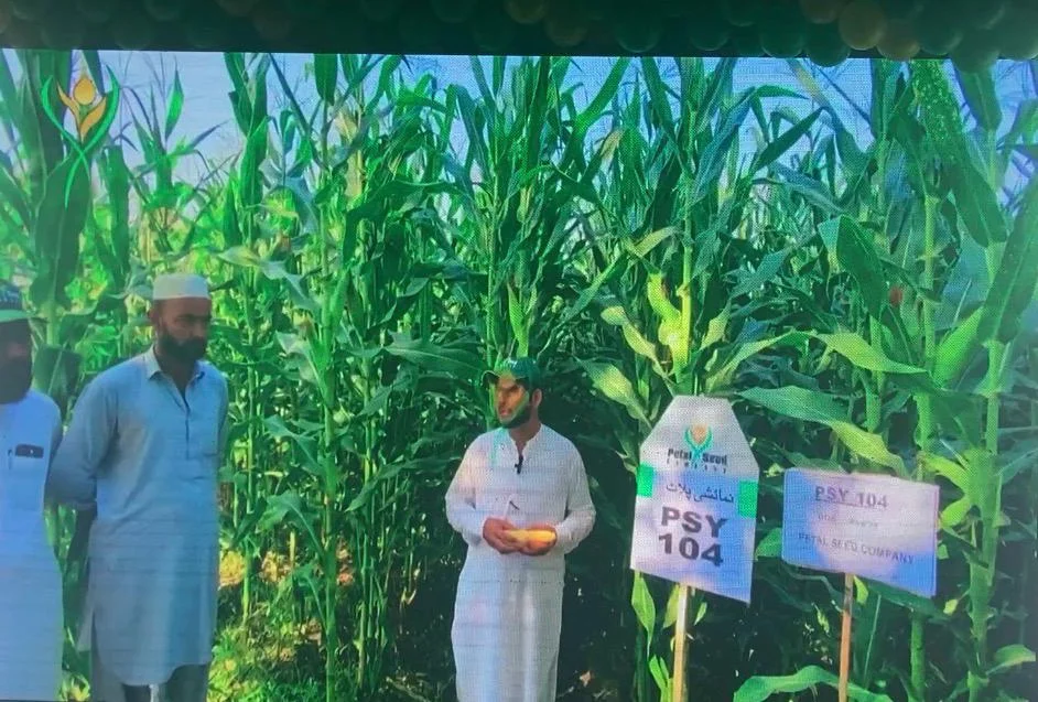 د خیبر پښتونخوا کرونده ګر وایی چې حکومت باید د کرونده ګرو لپاره داسې منصوبې راوړی او ددوی ځانګړې مرسته وکړي