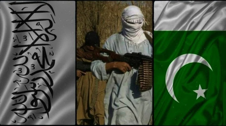 په پاکستان کې په وروستو کی د ترهه ګرۍ پيښې زیاتې شوي