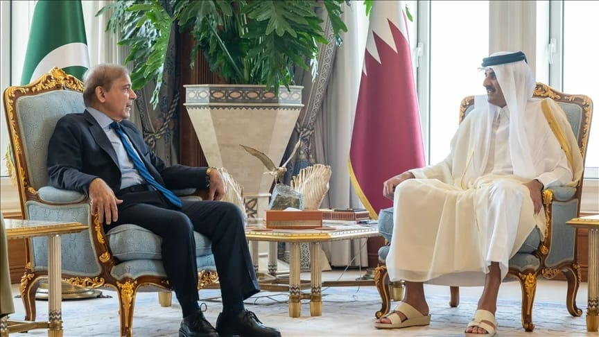 د اقتصادي او زده کړې کارپوهان وایی چې د قطر حکومت له لوري پاکستاني ډاکټرانو او نورو کارکوونکو لپاره به د قطر هیواد دا پالیسي ډیره ګټه ثابته شي