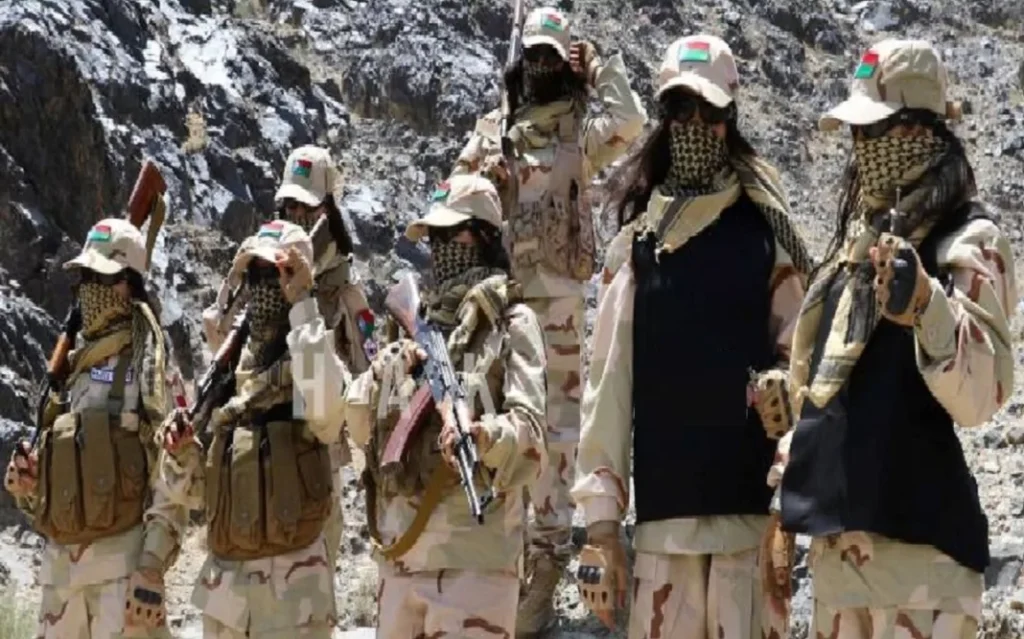 د تبلیغاتي کیسې له مخې، ترهګري د یو داسې «د ازادۍ جګړې» په نوم ښودل کېږي، چې د بلوچستان سیاسي ستونزې او اقتصادي نابرابري کاروي