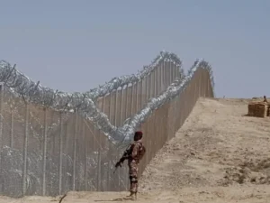 امنیتي کارپوهان وایي چې ځانمرګي بریدګر او وسله‌والې ډرون الوتکې د طالبانو تر واک لاندې افغانستان څخه پاکستان ته د ترهګرۍ د صادارتو نوې وسیلې ګرځېدلي، چې د سیمه‌ییز امنیت لپاره جدي اندېښنې رامنځته کوي