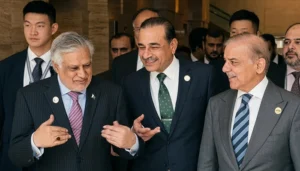 جنگ بندی نه مخکې ۹۱٪ کاروونکو د پاکستان پر رول نیوکې کولې، خو د وروستۍ پرمختګ وروسته دا نظر په بشپړه توګه بدل شو او د ستاینې لور ته واوښت