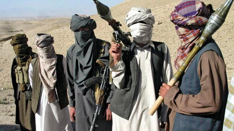د “فتنه الخوارج” د ترهګرو له اسلام سره هېڅ تړاو نه شته. دا ډله د مالي ګټو لپاره د بانکونو په لوټ، د تاوان لپاره په تښتونو او د بې‌ګناه خلکو په وژنو کې ښکېله ده